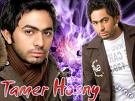 tamer